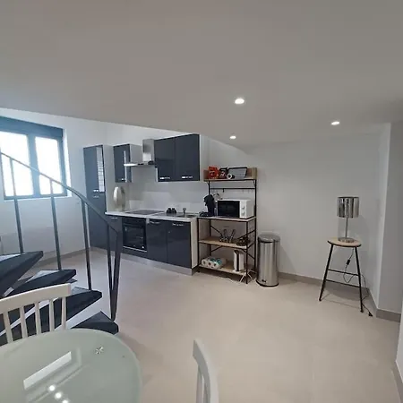 Beau Duplex Proche Gare شقة غرونوبل